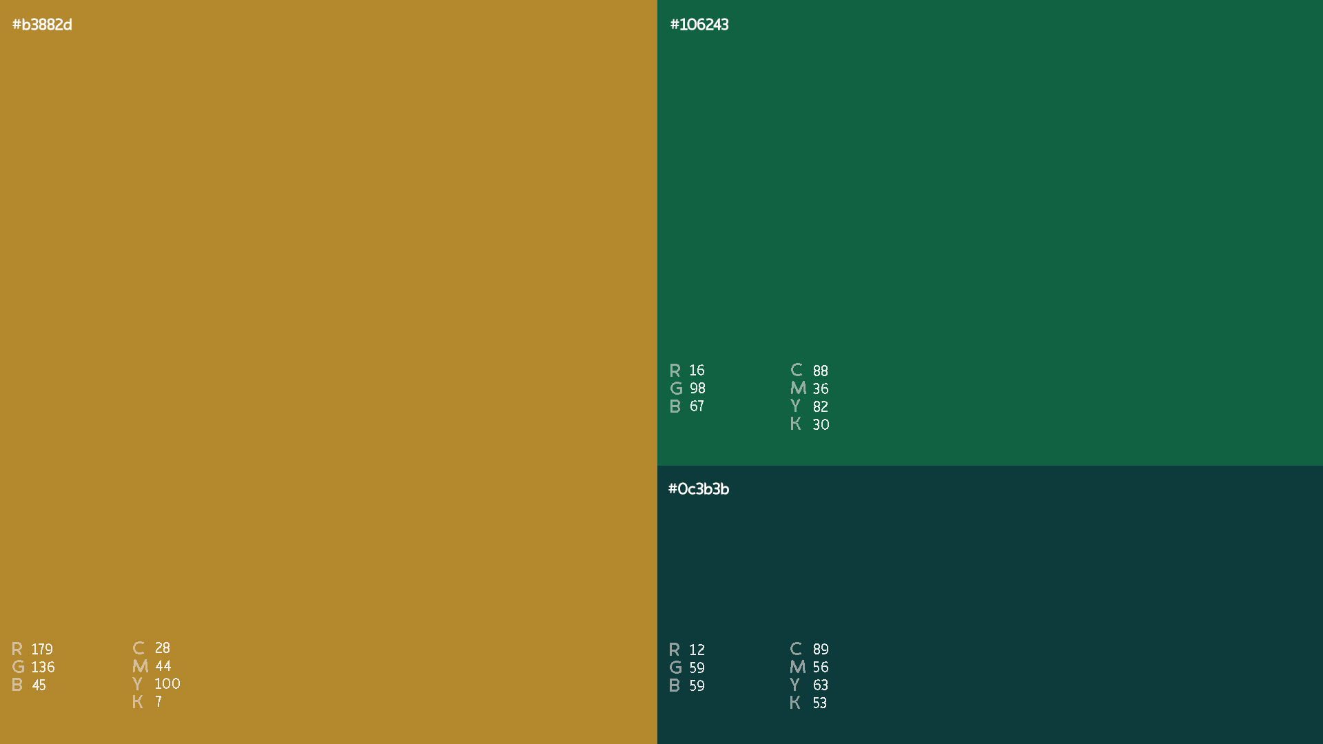 eva color behance