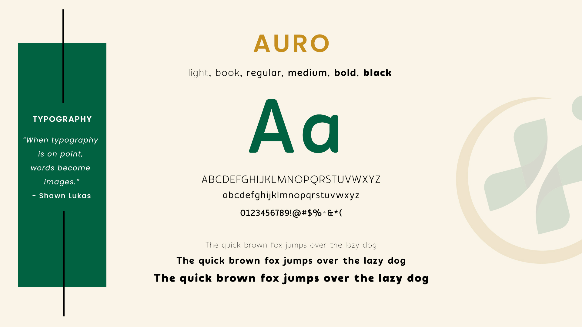 eva typography behance